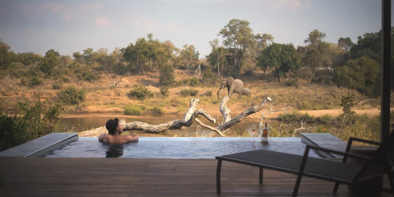 South Africa voted best safari experience in Africa 800x400