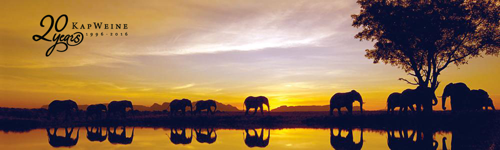 Elefants 20years KW