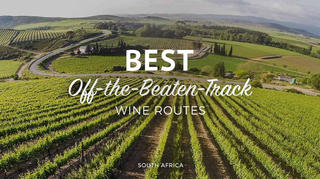 best off the beaten track wine routes south africa explore sideways wine tours