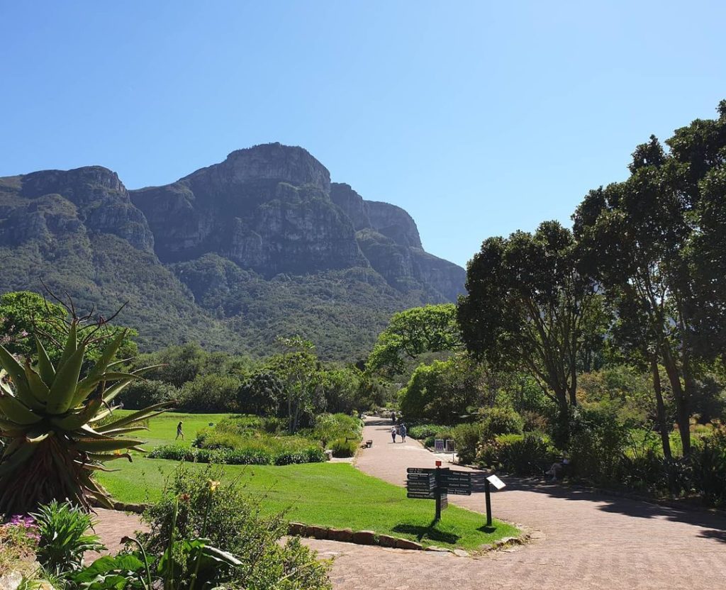 kirstenbosch.garden