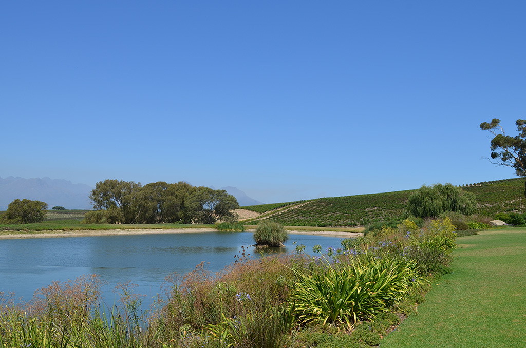 DSC 3384